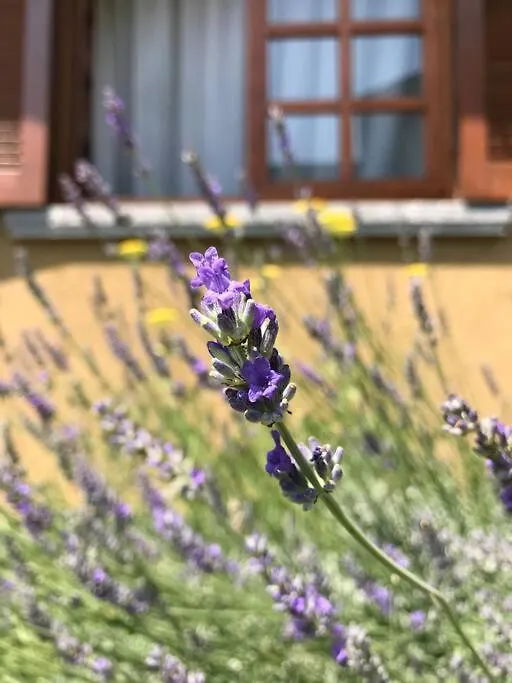 Дом отдыха Casa Privata Con Splendida Vista Lago 