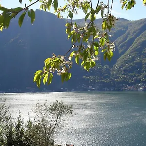 Reginaldo's Nesso